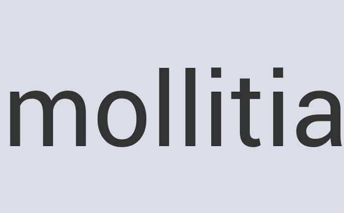 Practical Granite Chunck’s Chunks