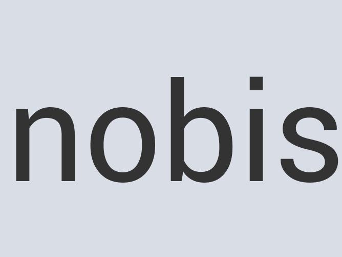 Lightweight Iron Lasagne Nudge