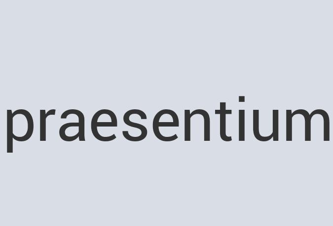 Practical Paper Sun Bite