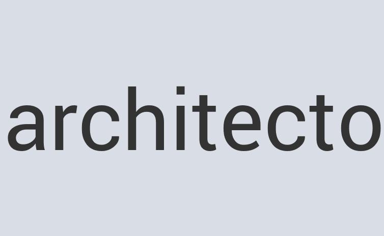 Incredible Bronze Business Card Shark