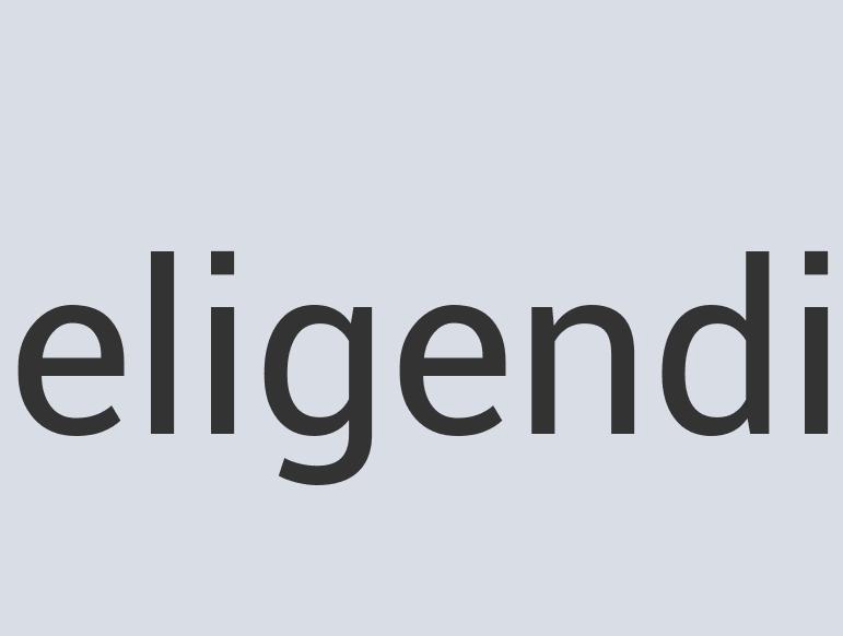 Heavy Duty Rubber FlyButter