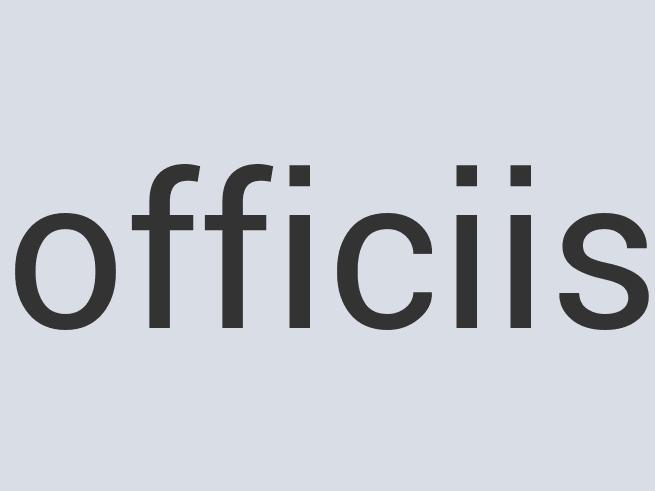 Rustic Granite Electric Waffle