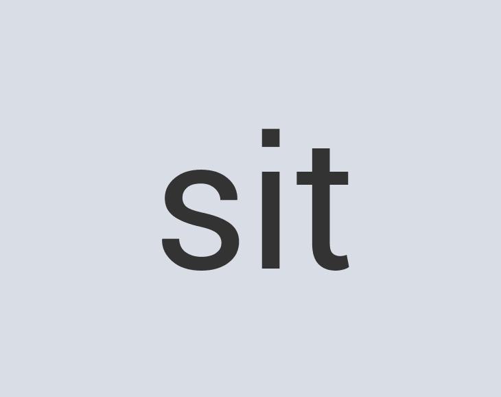 Sleek Rubber Sonata Fast